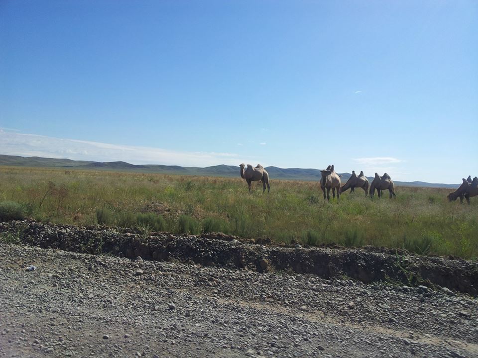 Баймагулов М. Урджарский район. По дороге в п. Маканчи