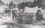 Емделушілер 1960 жылдар